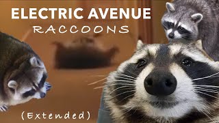 Electric Avenue Raccoons Extended [upl. by Nodarb]