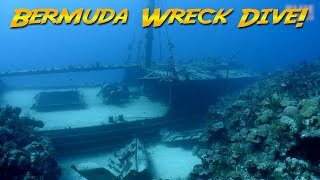 Diving the Hermes Wreck Bermuda The Bermuda Triangle [upl. by Zilvia]