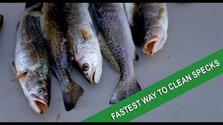 The absolute best way to fillet speckled trout [upl. by Reeba]