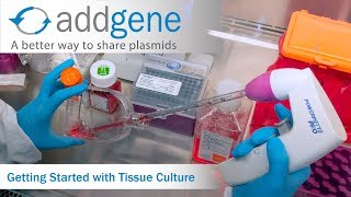 Getting Started with Tissue Culture [upl. by Ymaral]