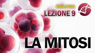 BIOLOGIA  Lezione 9  La Mitosi [upl. by Ailaroc]