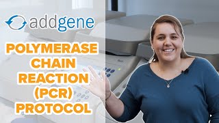 Polymerase Chain Reaction PCR Protocol [upl. by Fullerton]