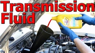 How to Change Automatic Transmission Fluid and Filter COMPLETE Guide [upl. by Kingdon]