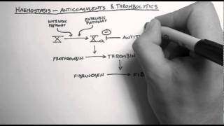 Haemostasis 3  Anticoagulants amp Thrombolytics [upl. by Toomin]