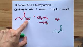 Butanoic Acid  Methylamine   Nmethylbutanamide  Water [upl. by Nojed]